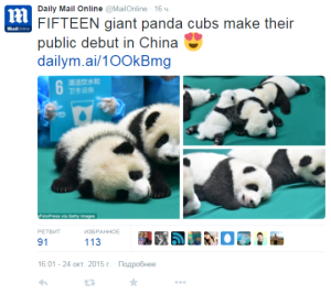 Արգելոցի այցելուները հիացել են հսկա պանդայի գեղեցիկ ձագուկներով