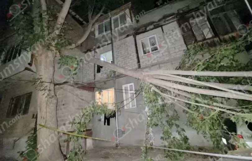 Երևանում հսկայական ծառի ճյուղը կոտրվել, ընկել է ավտոմեքենաների վրա