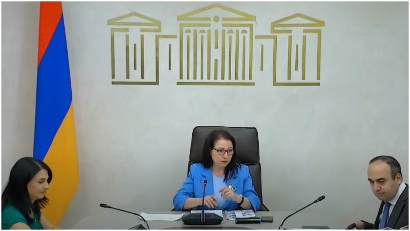 Հերիքնազ Տիգրանյանը կարևորել է օրենսդիր-գործադիր համագործակցությունը (տեսանյութ)