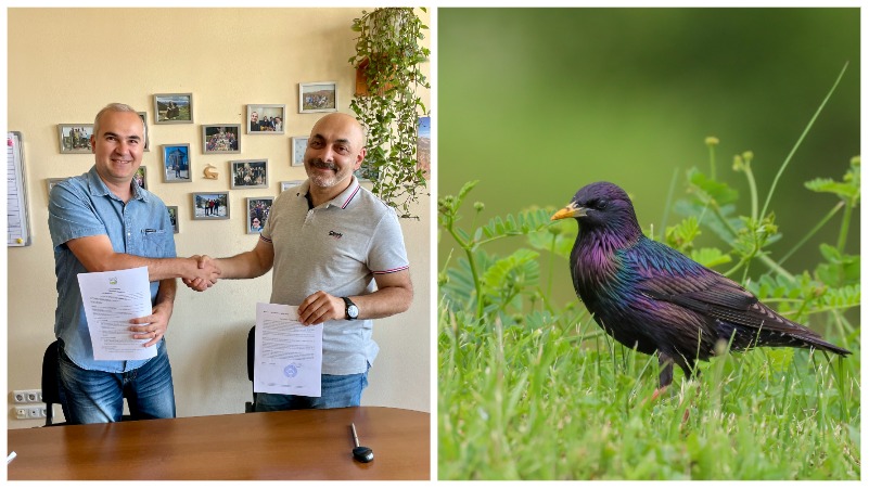 Ավելի քան 16 միլիոն  դրամ՝ Հայաստանում թռչունների մոնիթորինգի համար