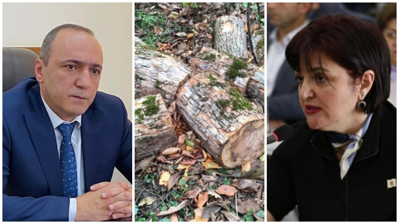 Ծառահատումների դեմ ցույցի մասնակիցներն ուղղորդված էին Քրիստինա Վարդանյանի կողմից, ում թիկունքում կանգնած է Հայկ Մարությանը. Արմեն Բեգոյան
