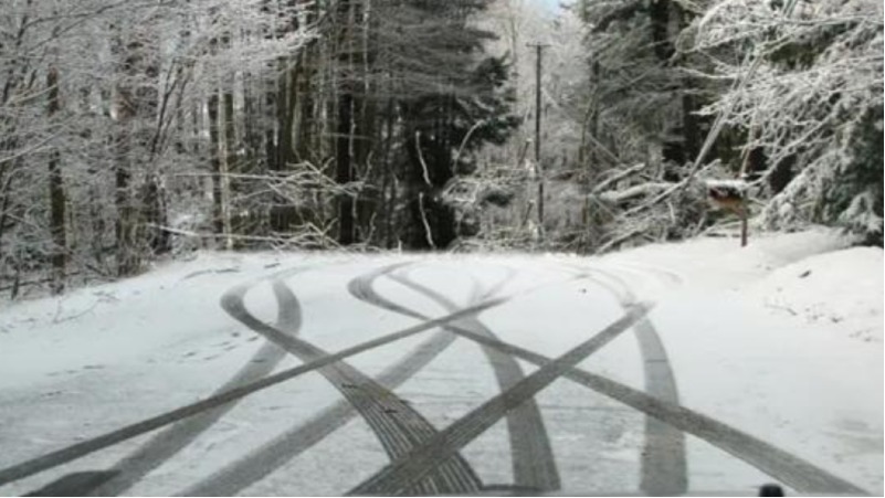 Իջևանի համայնքային ոստիկաններն ապօրինի ծառահատման դեպք են բացահայտել