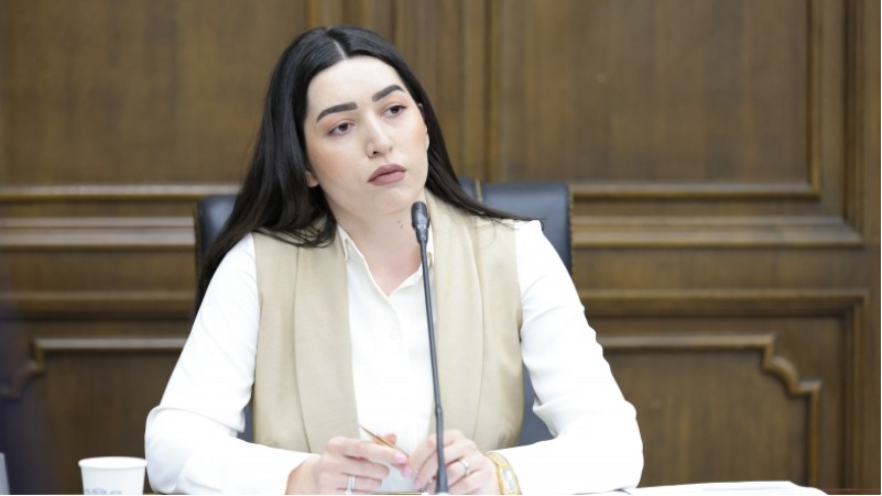 Արփինե Սարգսյանը ԱԺ հանձնաժողովներում ներկայացրել է Ներքին գործերի նախարարության բյուջեի կատարողականը