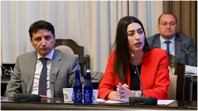 Կսահմանվի տրանսպորտային միջոցներին պատճառված վնասի փոխհատուցման կարգը. առաջարկ