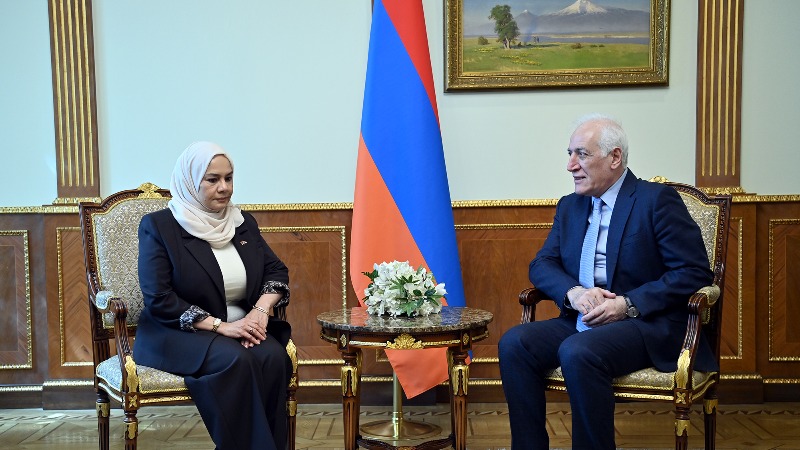 Վահագն Խաչատուրյանը ընդունել է ԱՄԷ դեսպանին