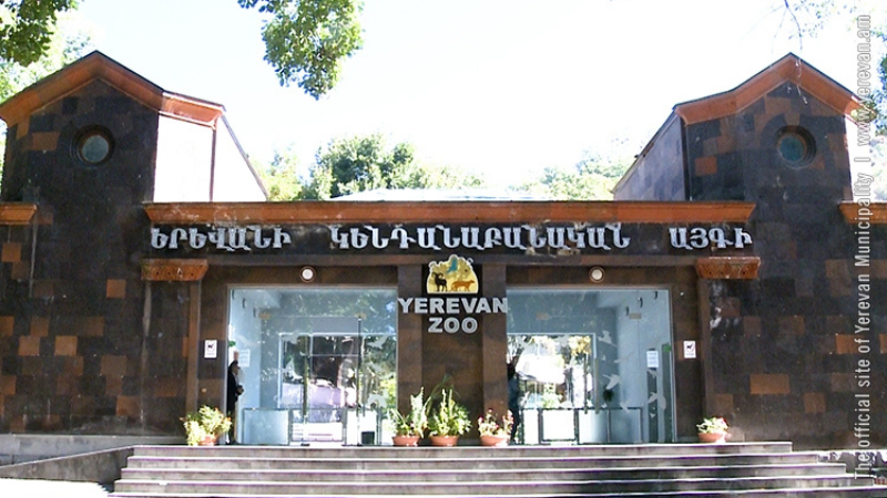 Կենդանաբանական այգին մինչև 16 տարեկան երեխաների համար կաշխատի անվճար մուտքով hունիսի 1-ին