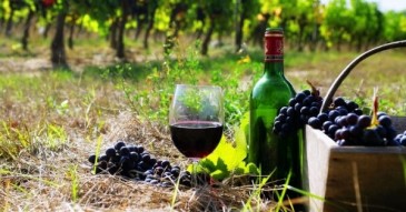 Կարմիր գինու օգտակարության մասին