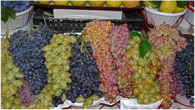 Բյուջետային երաշխիքներ ու հնարավորություն կտրվի ներգրավելու լրացուցիչ վարկային միջոցներ խաղողի և պտուղբանջարեղենի մթերումների նպատակով