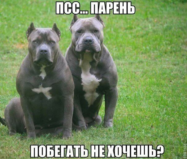 3e6b814bcbdd79070fd5p9WgfL0k4S0.jpg