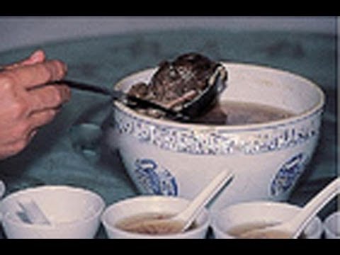 8417d7544f19236d0903hqdefault.jpg