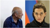 Աննա Հակոբյանին «դավաճան» ասած 69-ամյա պապիկը մեղավոր ճանաչվեց