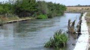 Փրկարարները ջրացքից դի են դուրս բերել