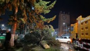 Ուժեղ քամու հետևանքով գրանցվել է 38 արտակարգ դեպք