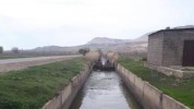 Փրկարարները ջրատարից դուրս են բերել անձը չպարզված քաղաքացու դի